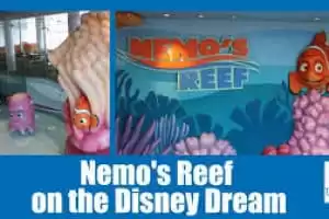 Nemo's Reef