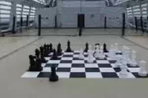 En la cubierta 16, los pasajeros pueden organizar partidas de ajedrez en el tablero gigante de ajedrez gigante. En este mismo puente, también se puede aprender a jugar al juego de discos Shuffleboard.