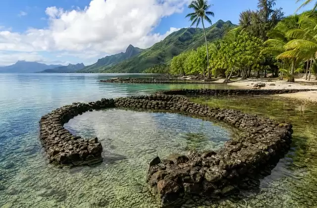 Maeva